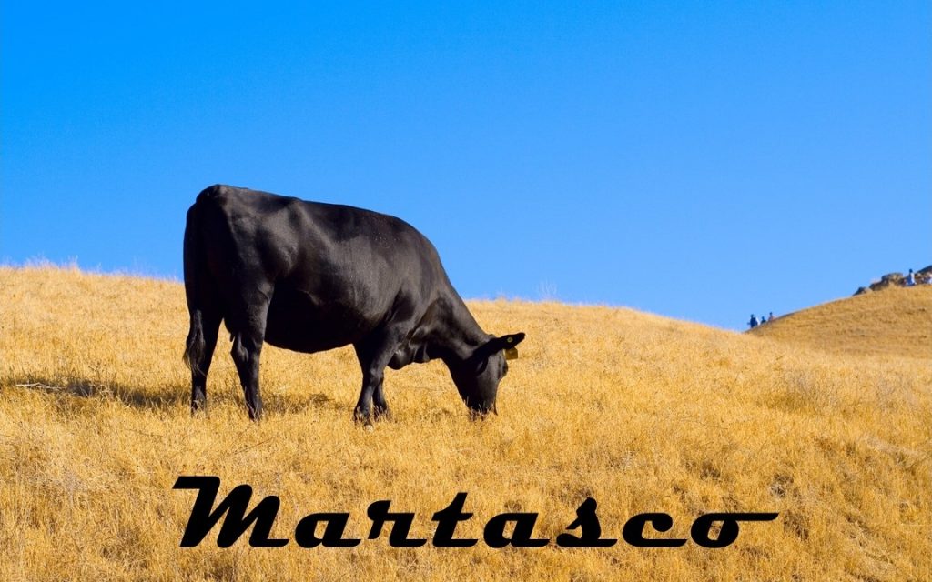 برچسب: Marta
